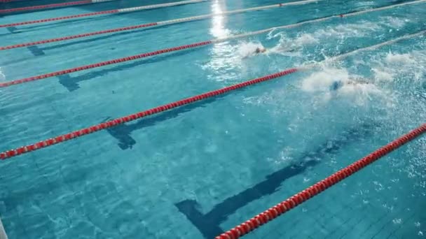 Två tävlingssimmare i simbassäng — Stockvideo