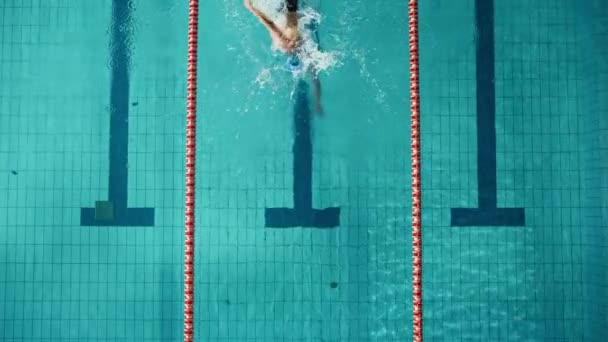 Nadador en la piscina — Vídeo de stock