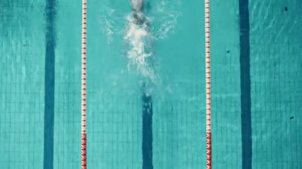 Zwemmer in zwembad — Stockvideo