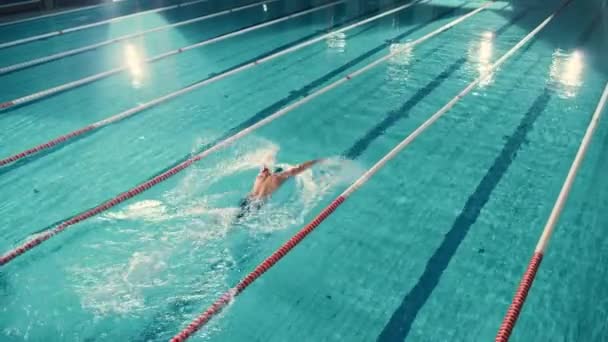 Swimmer in Swimming Pool — Stock Video