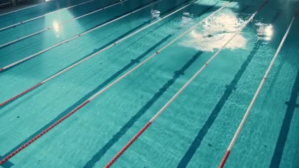 Пловец в бассейне — стоковое видео