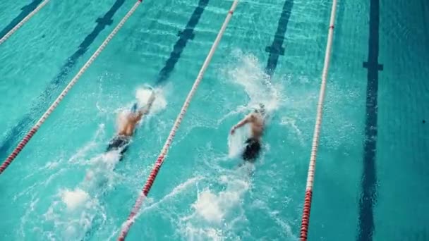 Dos nadadores compiten en la piscina — Vídeos de Stock