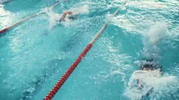 Dva plavci soutěžit v bazénu — Stock video