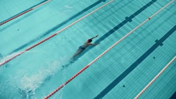 Пловчиха в бассейне — стоковое видео