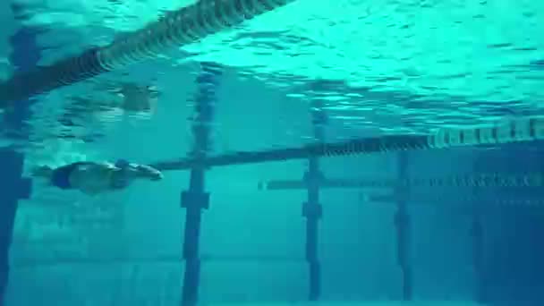 Nadador bajo el agua en la piscina — Vídeo de stock