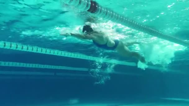 Podvodní plavec v bazénu — Stock video