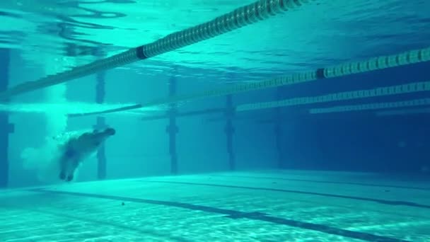 Havuzda Sualtı Yüzücüsü — Stok video