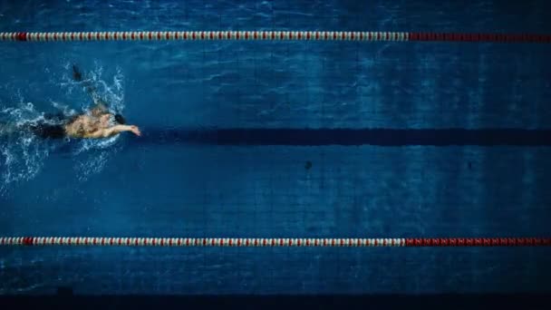 男子游泳运动员在游泳池 — 图库视频影像