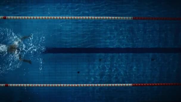 수영장에서 수영하는 수컷 — 비디오