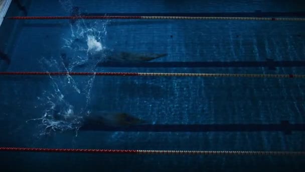 Dois nadadores competem na piscina — Vídeo de Stock