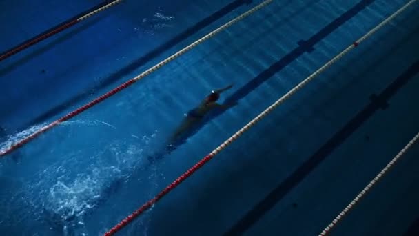 Yüzme havuzunda Bayan yüzücü — Stok video