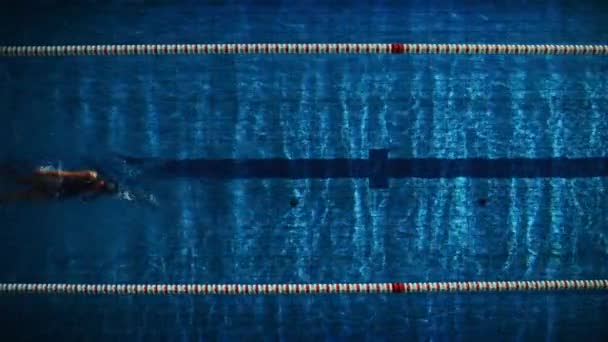 Due nuotatori competono in piscina — Video Stock