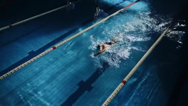 Dois nadadores competem na piscina — Vídeo de Stock