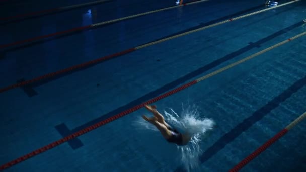 Nadador masculino en la piscina — Vídeos de Stock