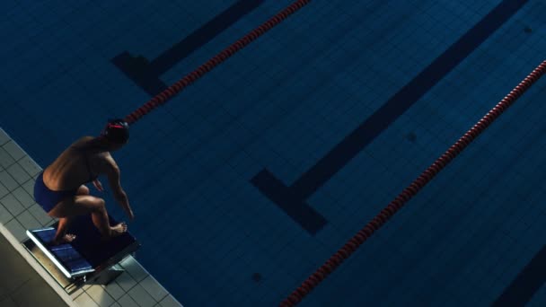 Femme nageuse dans la piscine — Video