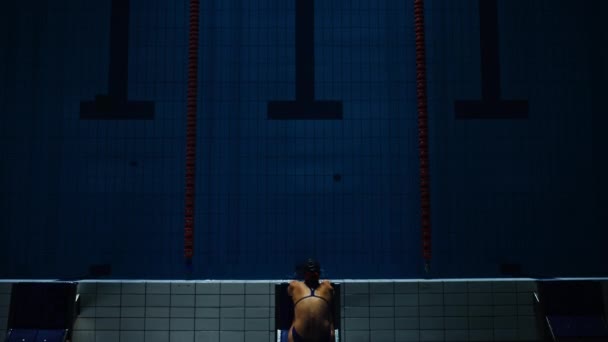 Nuotatrice in piscina femminile — Video Stock