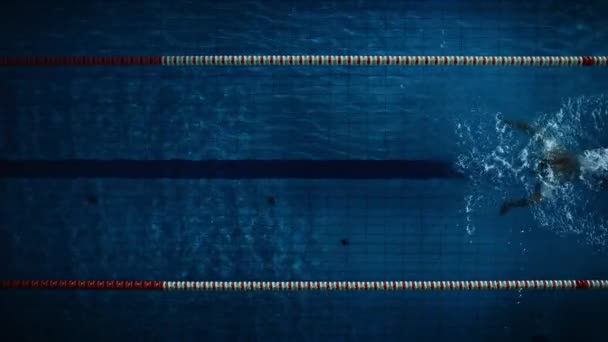 Mannelijke zwemmer in zwembad — Stockvideo