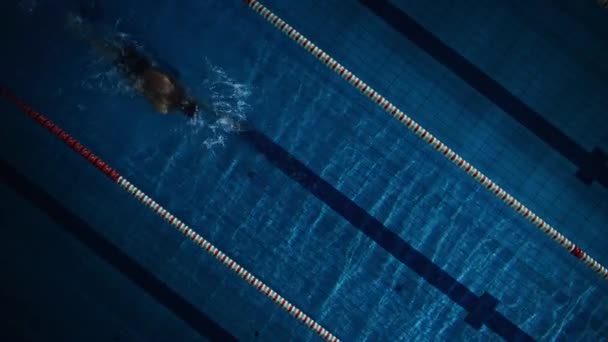 Erkek yüzücü yüzme havuzunda — Stok video
