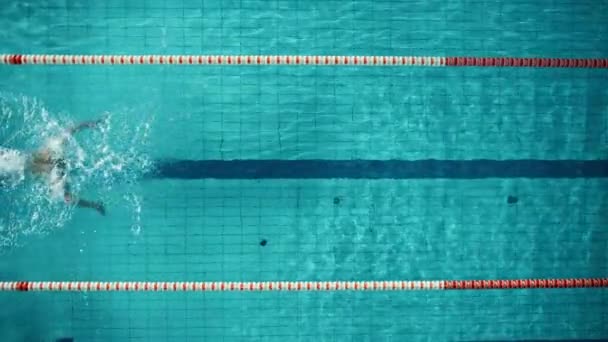 Вертикальный пловец в бассейне — стоковое видео
