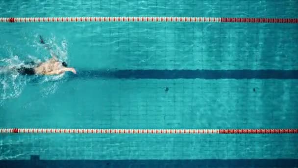 Plavec se svislou obrazovkou v bazénu — Stock video