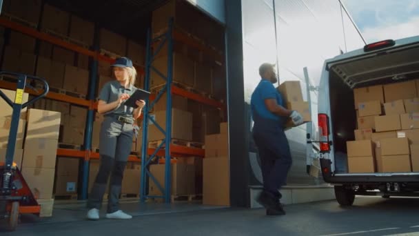 Warehouse Workers Load Locistics Delivery Van — Stock Video