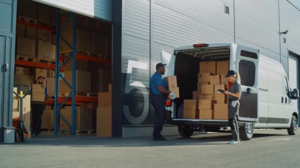 Trabajadores de almacén cargan furgoneta de entrega de Locistics — Vídeo de stock