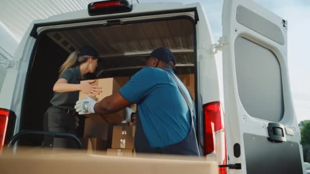Работники склада грузят фургон доставки логистики — стоковое видео