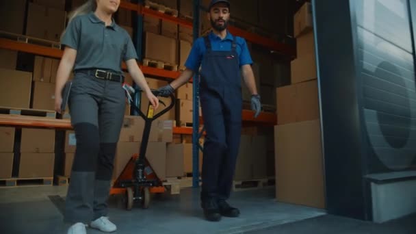 Raktári dolgozók rakománya tehergépjármű-rakománnyal — Stock videók