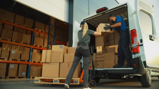 Empleados de almacén cargando vehículo Van — Vídeo de stock