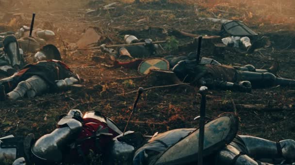 Cavalerii războinici morți pe câmpul de luptă — Videoclip de stoc