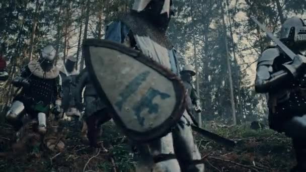 Skupina středověkých rytířů v lese — Stock video