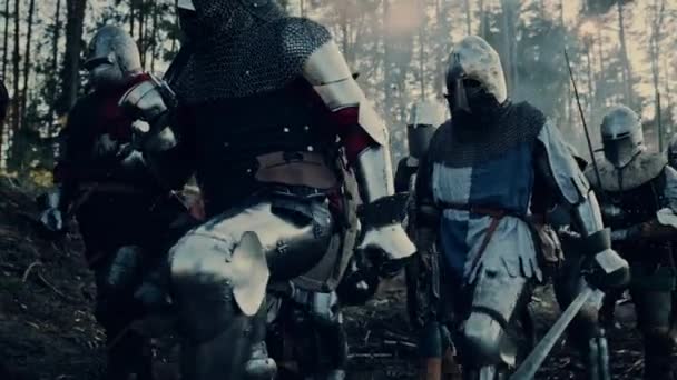 Group of Medieval Knigh Warriors in Forest — Stock Video