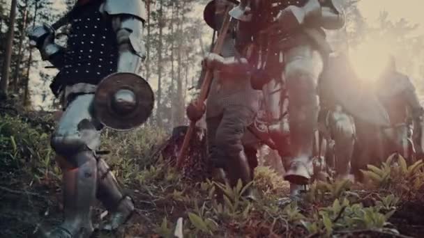 Gruppe mittelalterlicher Ritter im Wald — Stockvideo