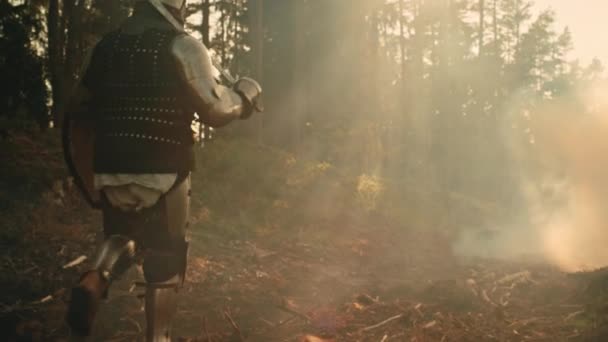 Chevalier guerrier marchant dans la forêt — Video