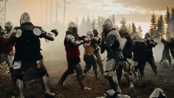 Epic Battle of Knight Warriors — Stock Video