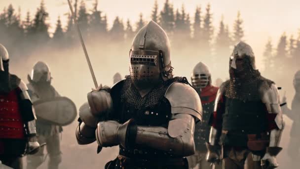 Epic Knight Warriors Ready For Battle — Stock Video