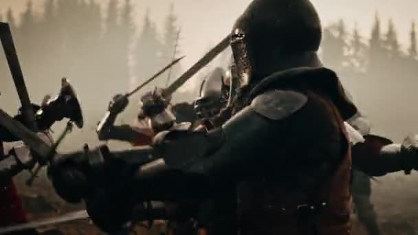 Epische Schwertschlacht der Ritterkrieger — Stockvideo