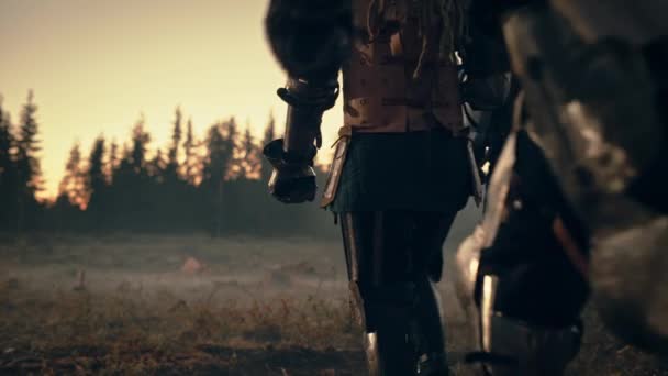 骑士战士穿越森林 — 图库视频影像