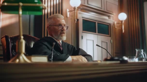 Courtroom Judge Sentencing with Hammer — Stock Video