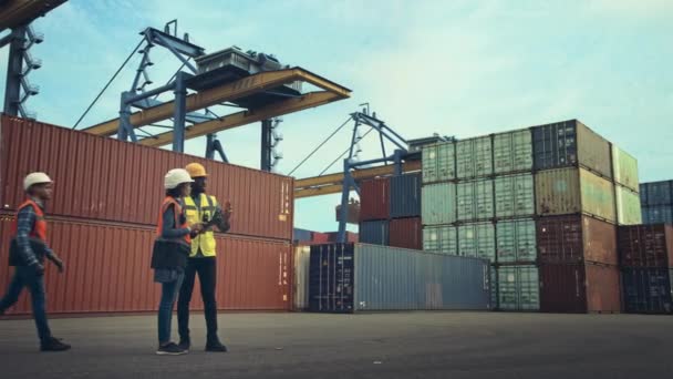 Inżynierowie przemysłowi Żurawie VFX w terminalu kontenerowym — Wideo stockowe