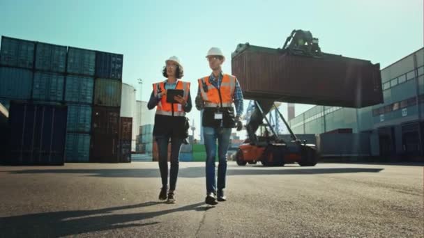 Industriële Ingenieurs VFX Kraanmachine in Containerterminal — Stockvideo