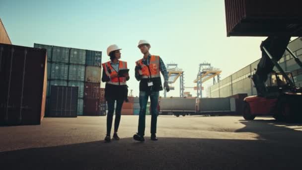 Průmysloví inženýři VFX Crane Machine v kontejnerovém terminálu — Stock video