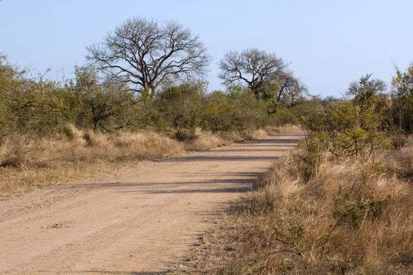 Dirt road — Stock Photo, Image