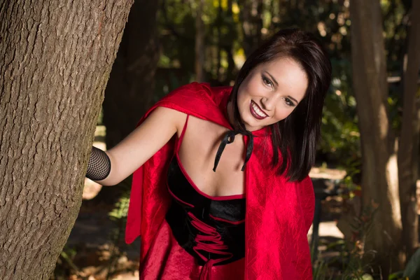 Red riding hood — Stock Photo, Image