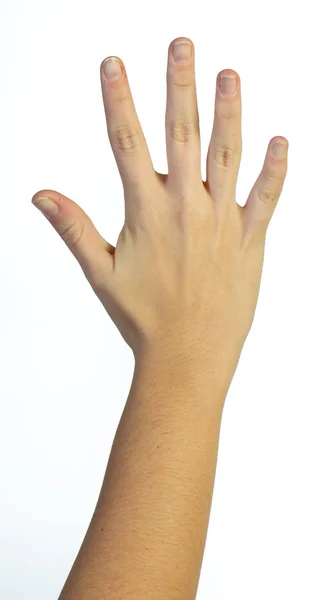 Mano in alto con cinque dita — Foto Stock