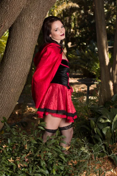 Red riding hood — Stock Photo, Image