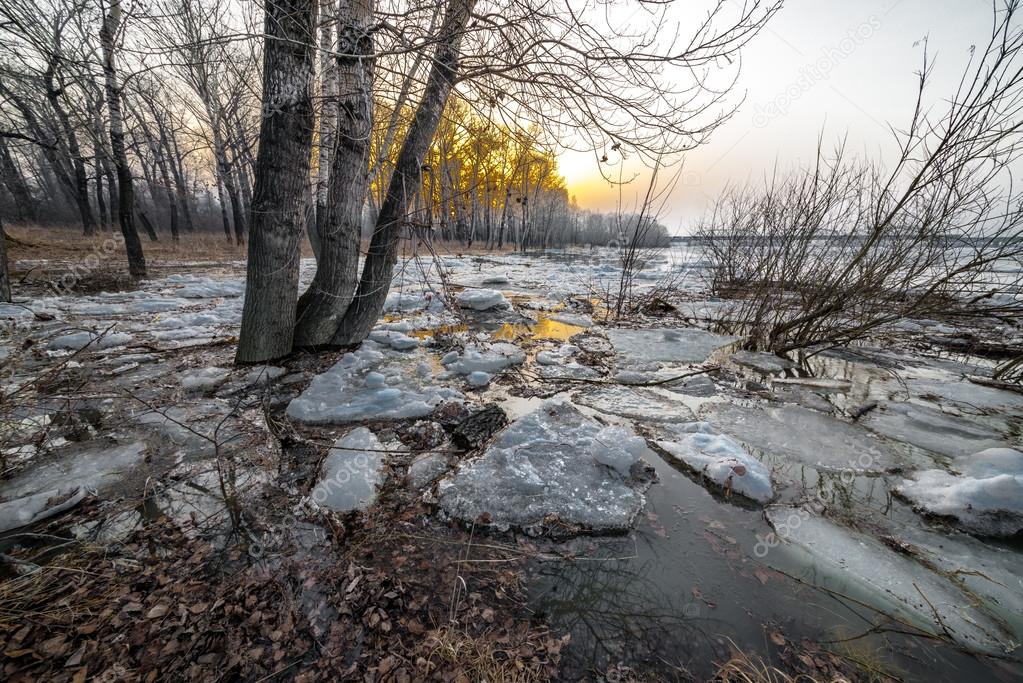 Melting snow — Stock Photo © photollurg2 44217705