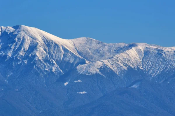 Primo piano dei Carpazi, Transilvania — Foto Stock