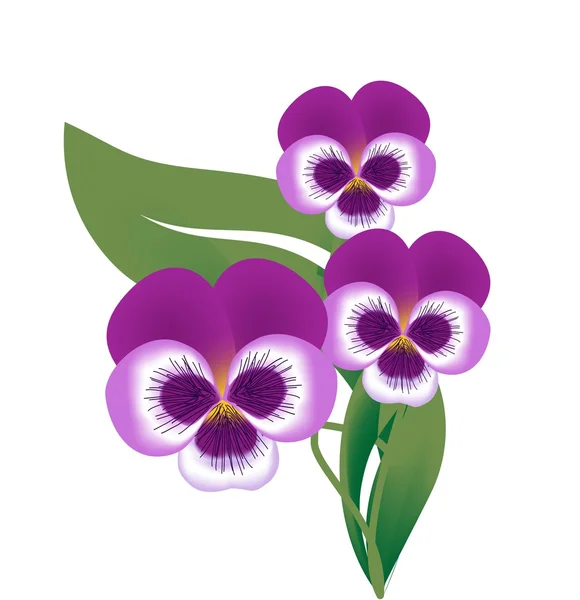 Flor de flor violeta, Vector Ilustración — Archivo Imágenes Vectoriales