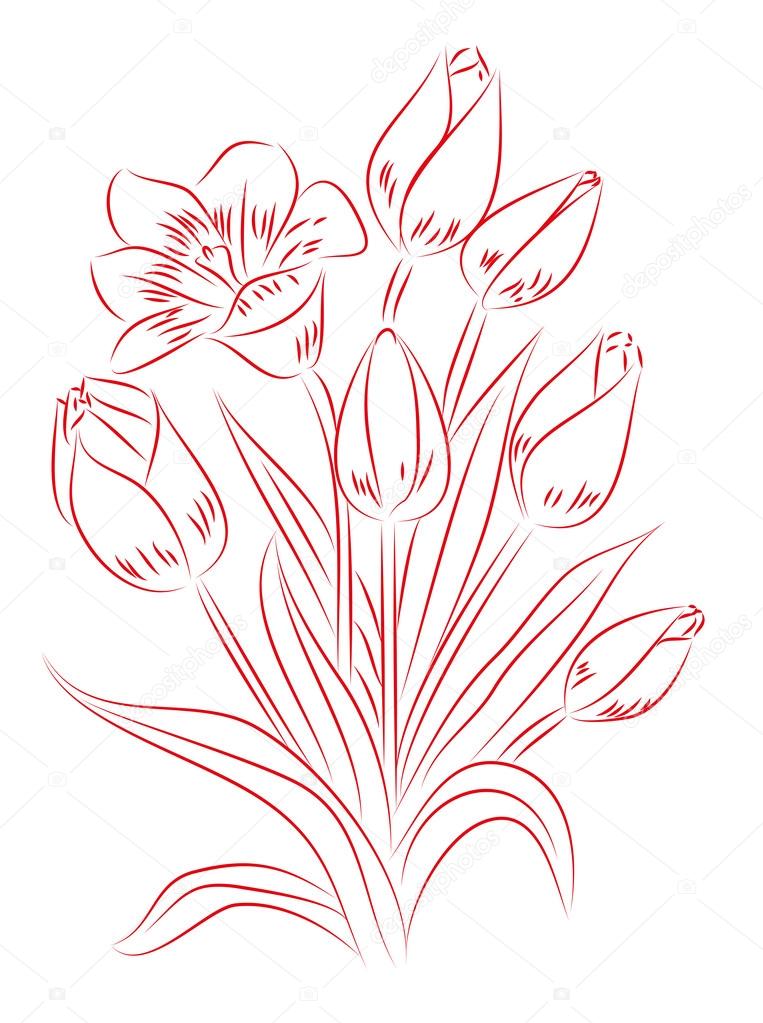 Red and white drawing of tulip. Vector illustration